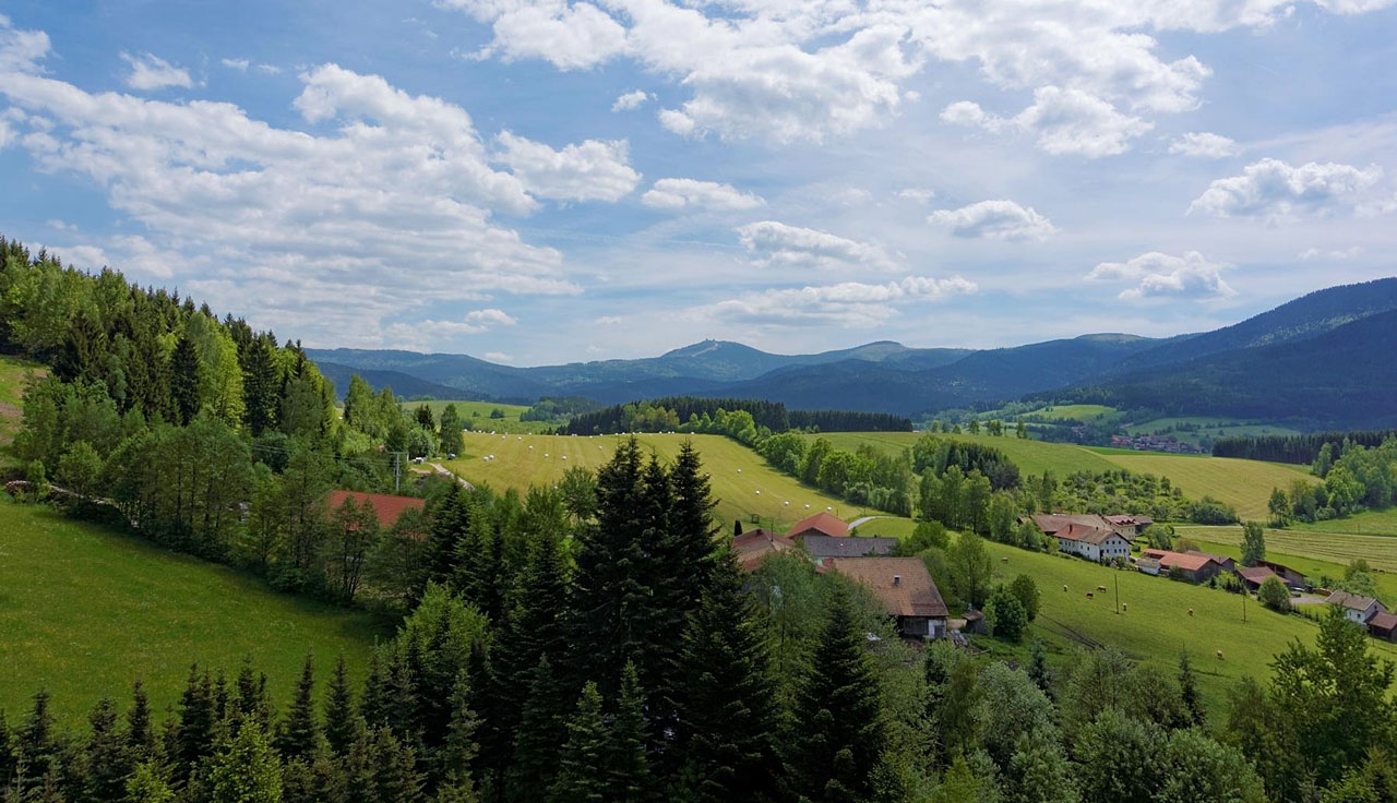 Wandern und Erholung im Bayerischen Wald